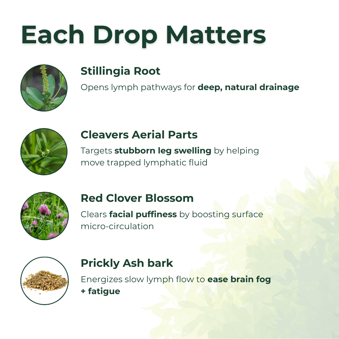 Flovelle Lymphatic Drainage Drops