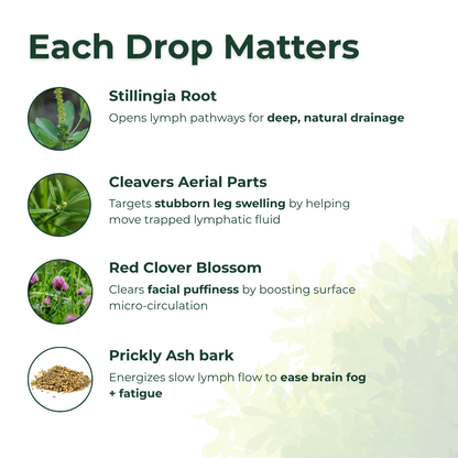 Flovelle Lymphatic Drainage Drops